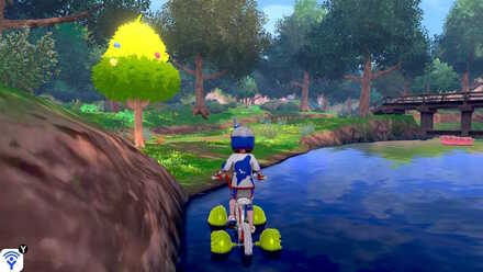 forest of focus blue apricorn.jpeg