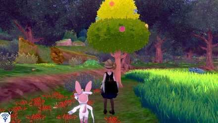 forest of focus yellow apricorn.jpeg