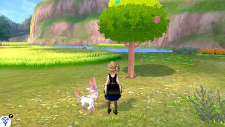 soothing wetlands yellow apricorn.jpeg