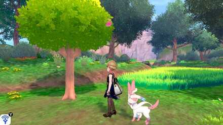 forest of focus green apricorn.jpeg