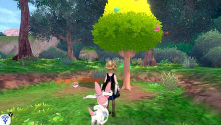 forest of focus pink apricorn.jpeg