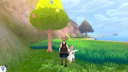 fields of honor pink apricorn.jpeg