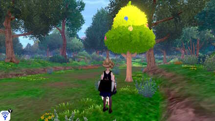 forest of focus white apricorn.jpeg