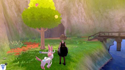 training lowlands white apricorn.jpeg