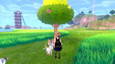 challenge beach black apricorn.jpeg