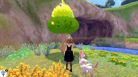 soothing wetlands red apricorn.jpeg