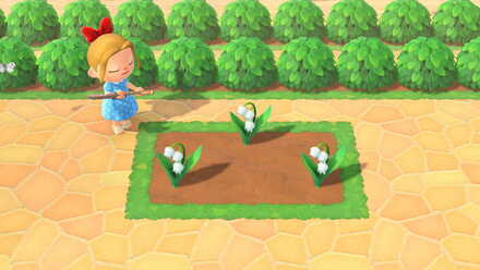 animal crossing lily of the valley not spawning