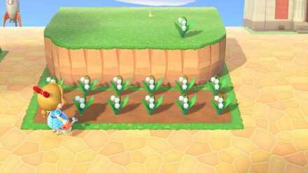 How To Get Lily Of The Valley Lily Of The Valley Acnh Animal Crossing New Horizons Switch Game8