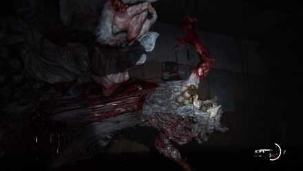 Stalker Half - Detaching