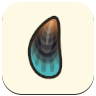 ACNH - Mussel