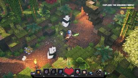 Explore the Bamboo Forest