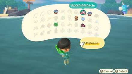 Sea Creatures List Prices Shadow Sizes And Times Acnh Animal Crossing New Horizons Switch Game8