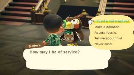 Animal Crossing Sea Creature list: All sea creature prices, times