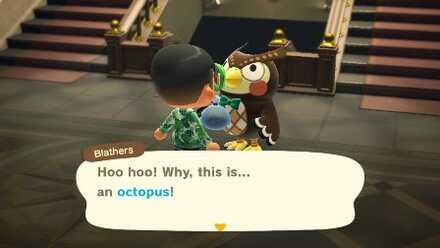 ACNH - Hoo Hoo Octopus!