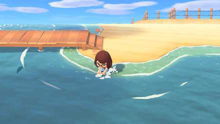 Animal Crossing, Fast Sea Creatures - How To Catch & List