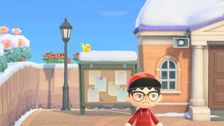 ACNH - Yellow Birds on top of the bulletin board