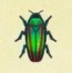 ACNH - Jewel Beetle icon