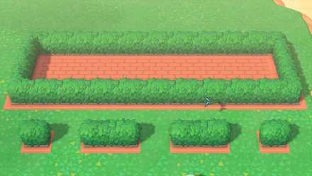 hedge flowerbed 2.jpg