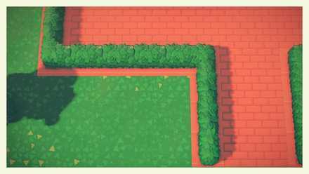 hedge flowerbed 1.jpg