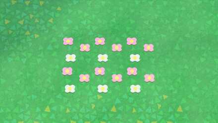 cross-shaped flowers.jpg