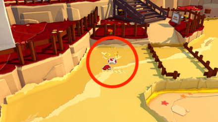 First Toad in the Tall Grass