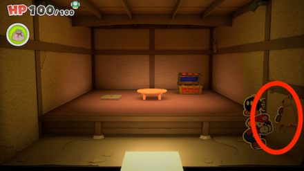 Straw Coat in the House