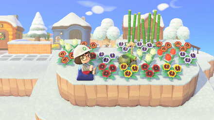 ACNH - A resident relxases on the fourth level