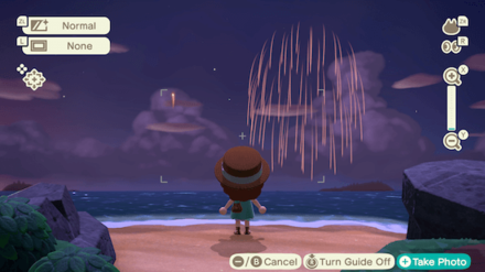 ACNH - Taking a photo with the camera interface