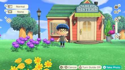 ACNH - A player tries to take a picture with the camera interface on