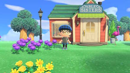 ACNH - A player tries to take a picture with the camera interface off