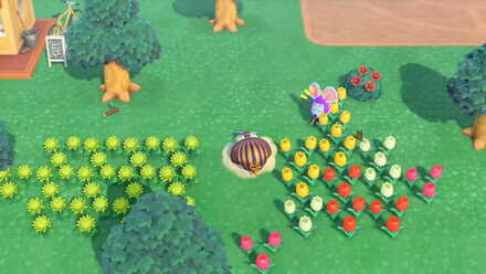 ACNH - Residents react with Surprise upon a player tripping