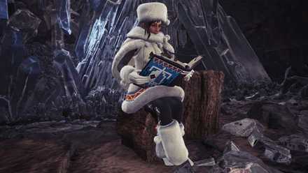 Winter Star Fest Handler.jpeg