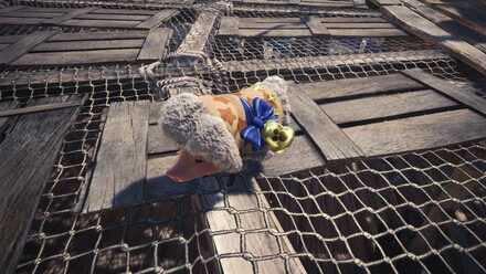 Winter Star Fest Poogie.jpeg