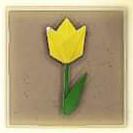 005 Yellow Tulip.png