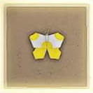 011 Yellow Butterfly.png