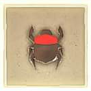 013 Red Scarab Beetle.png