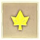 028 Yellow Autumn Leaf.png