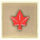 027 Red Autumn Leaf.png