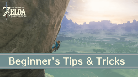 Beginner's Guide and Early Game Tips  Zelda: Breath of the Wild (BotW )｜Game8