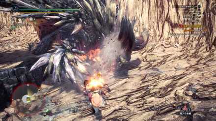 How to Beat - Ruiner Nergigante 4.png