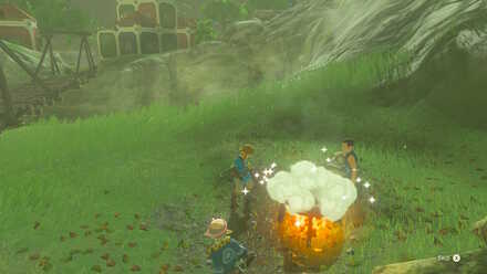 Zelda: Breath Of The Wild: Best Recipes And How To Cook Food