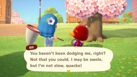 ACNH - Bill saying Quacko
