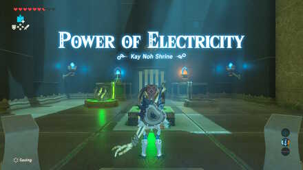 Botw - Power of Electricity
