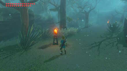 Botw - Lost Woods Torch Trails