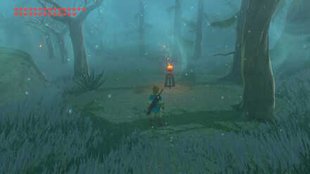 Botw - Lost Wood Torches in the Distance