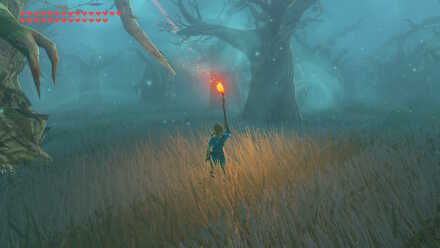 Botw - Lost Woods Lit Torch