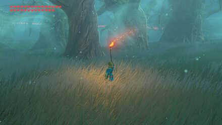 Botw - Lost Woods Torch Changing Direction