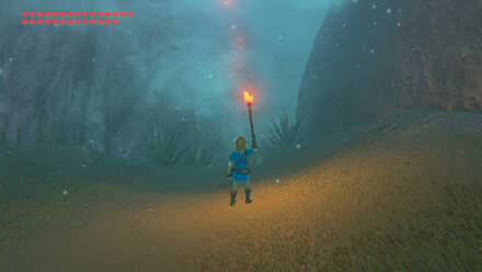 Botw - Lost Woods Clearing