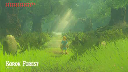 Botw - Korok Forest Entrance