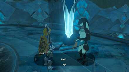 BotW - Fronk at Night